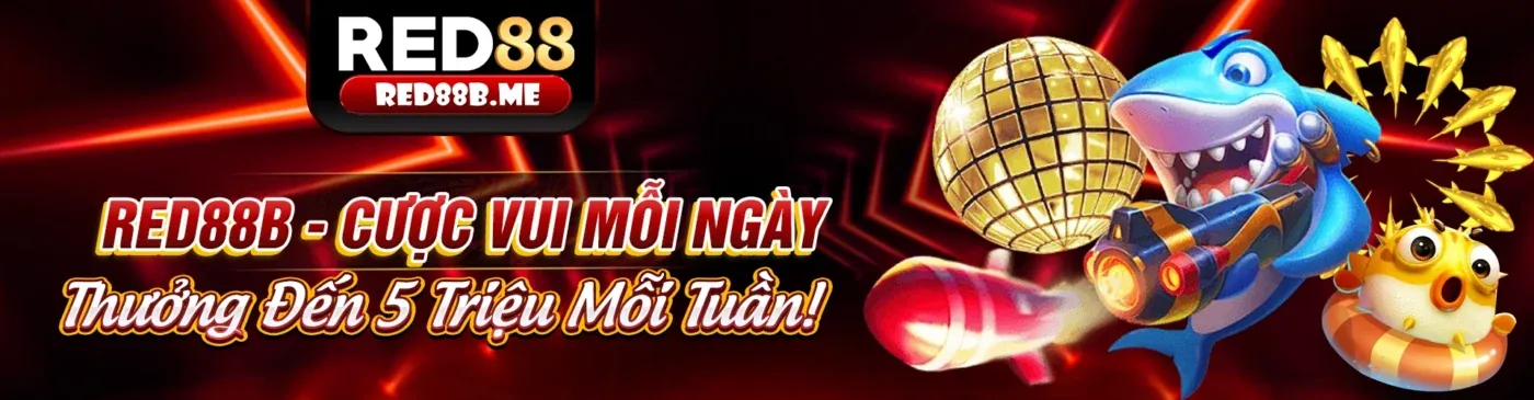 Quy trình tải và cài đặt ứng dụng keo 888 bet